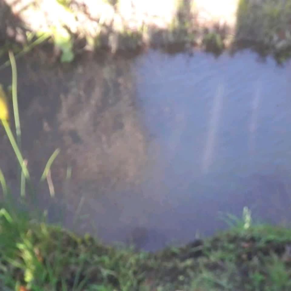 The photograph attached to this wastewater/stormwater report
