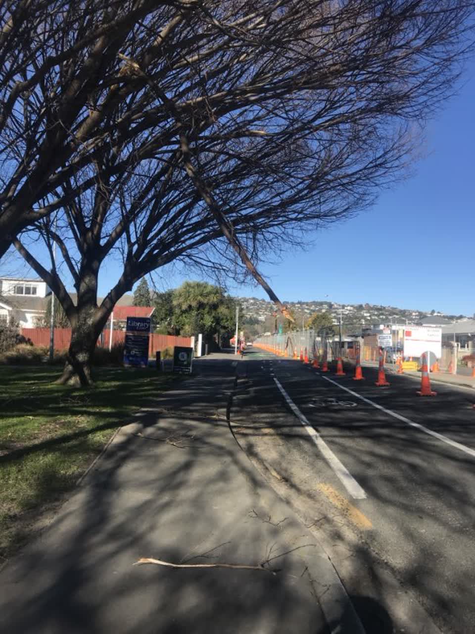 The photograph attached to this parks report