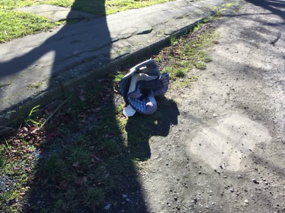 The photograph attached to this rubbish/recycling report