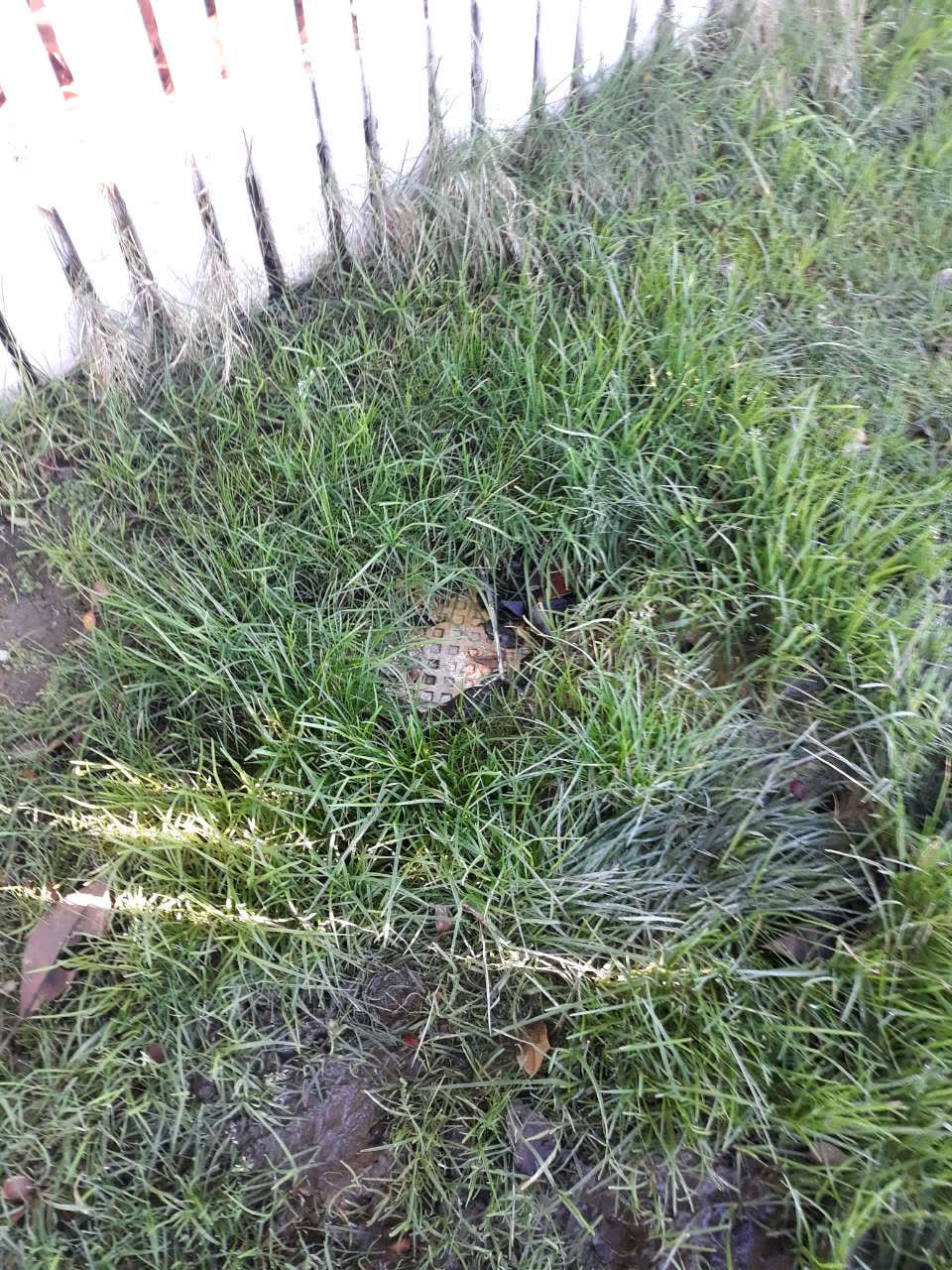 The photograph attached to this water supply report
