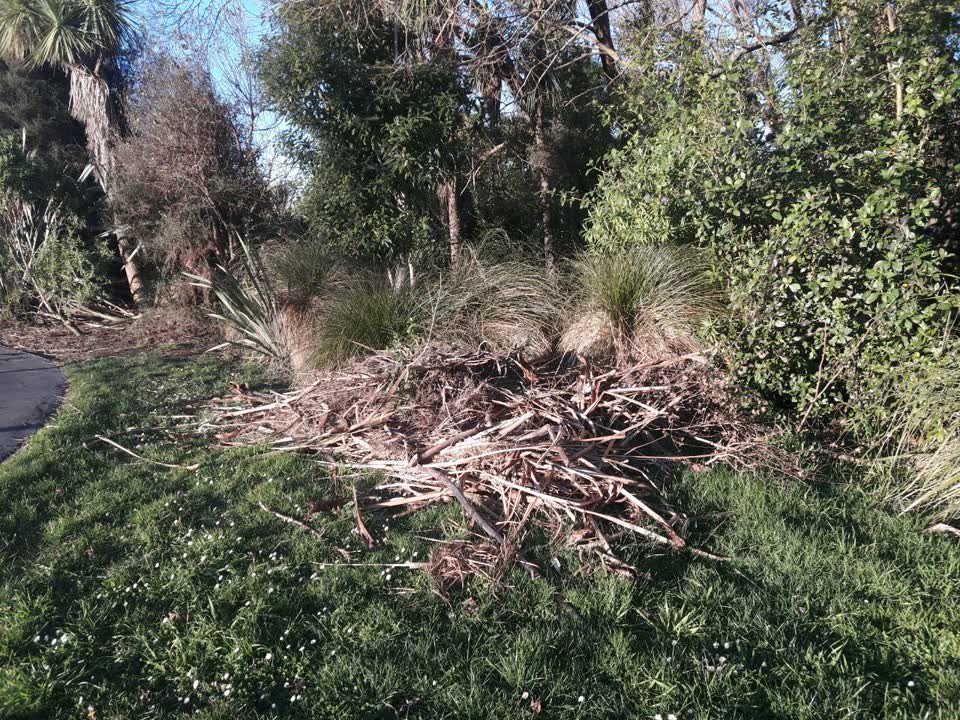 The photograph attached to this parks report