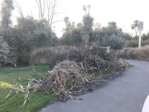 Parks, a report photo