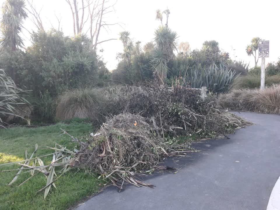 The photograph attached to this parks report
