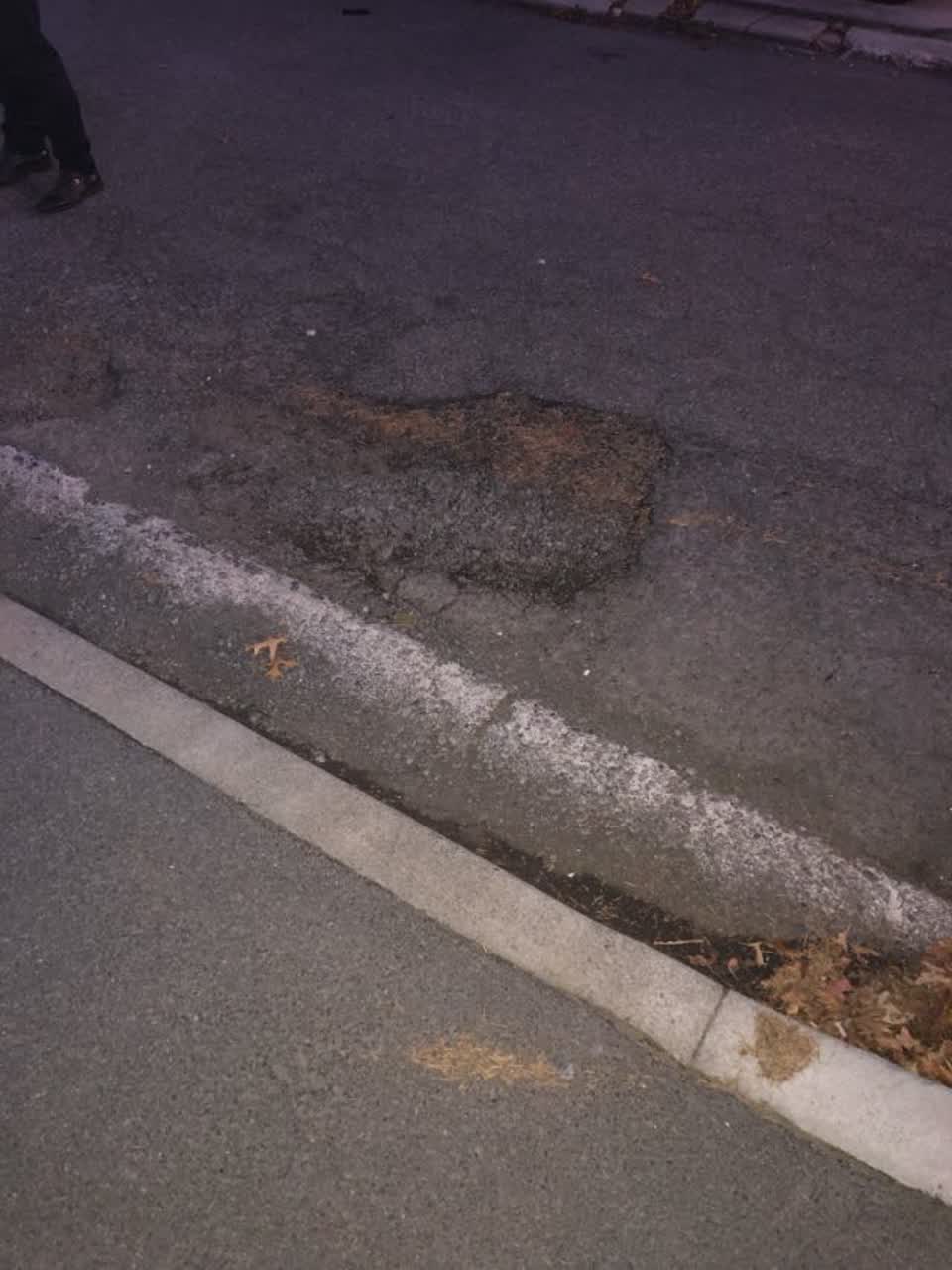 The photograph attached to this roading/streets report