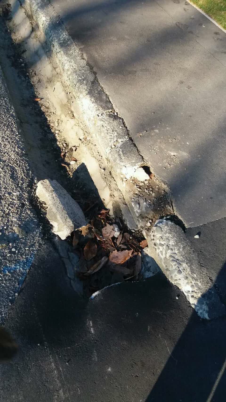 The photograph attached to this roading/streets report