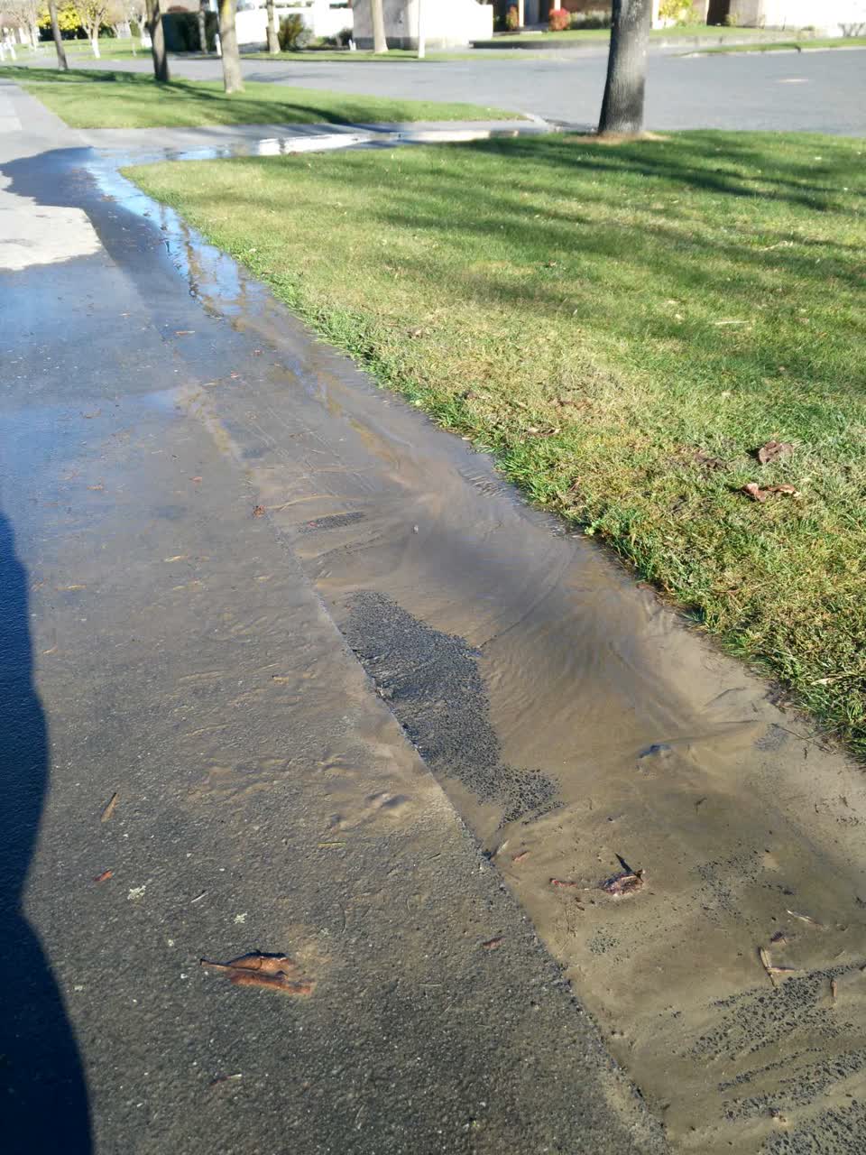 The photograph attached to this water supply report