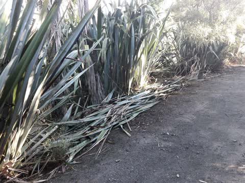 Parks, a report photo