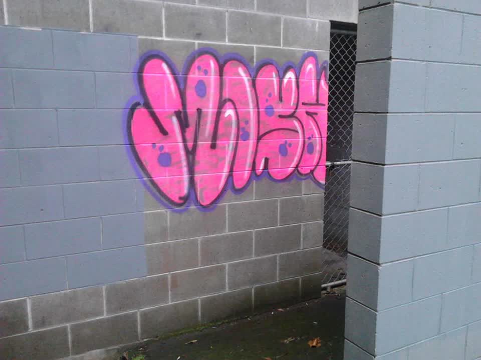 The photograph attached to this graffiti report