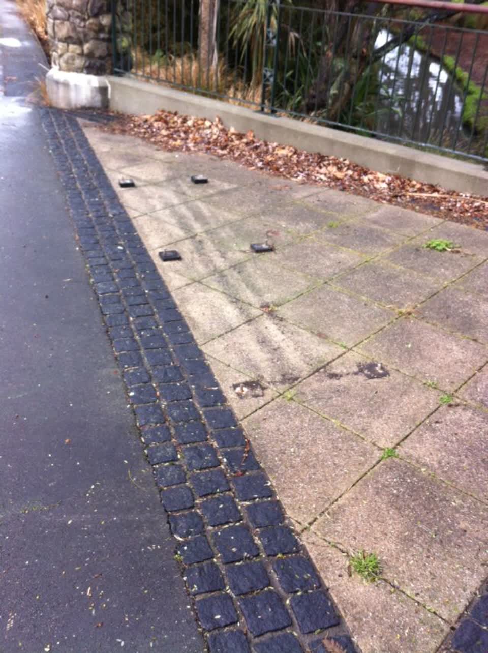 The photograph attached to this parks report