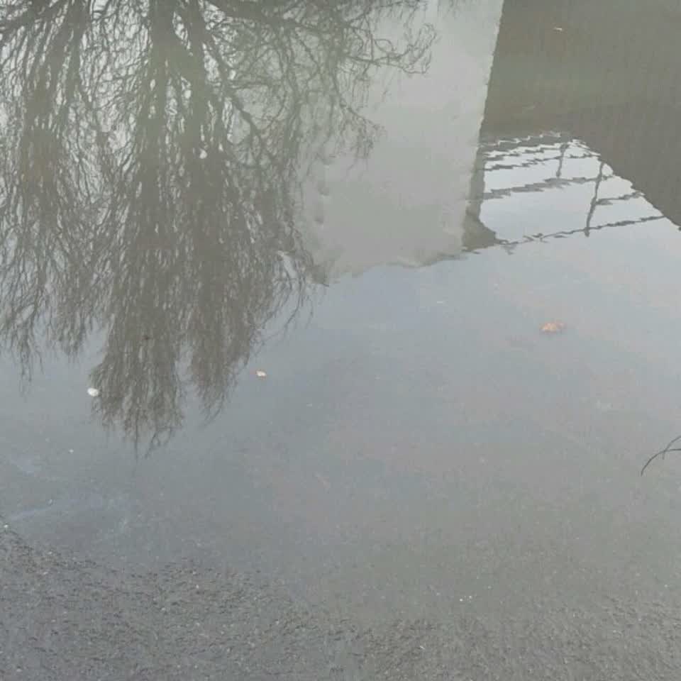 The photograph attached to this flooding report