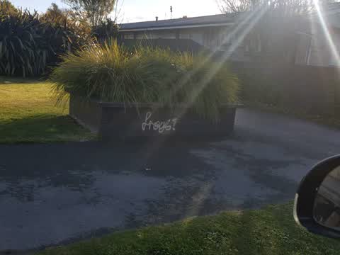 Graffiti, a report photo