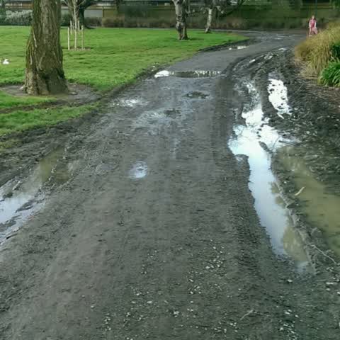 Parks, a report photo