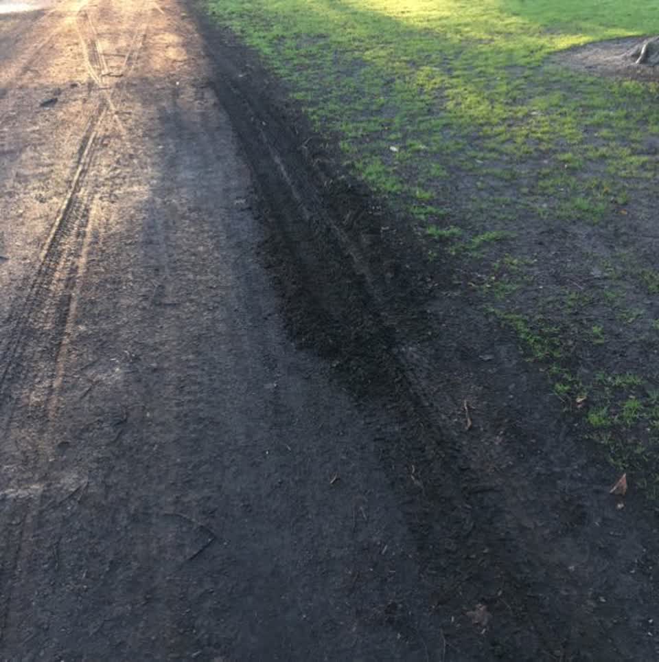 The photograph attached to this parks report