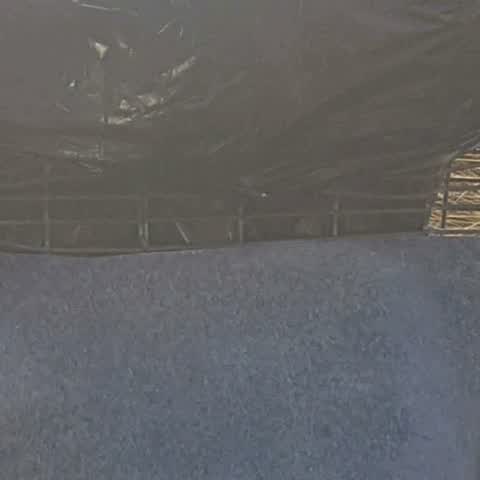 Rubbish/Recycling, a report photo
