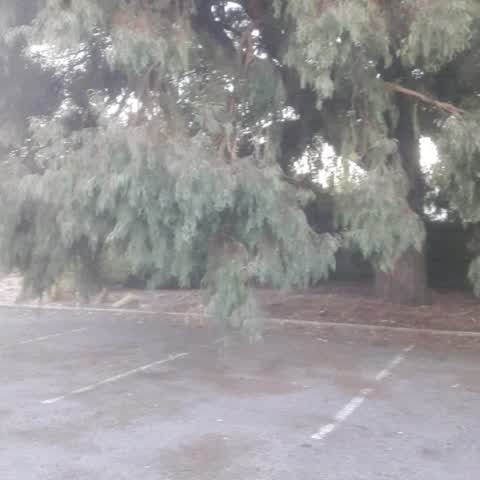 Parks, a report photo