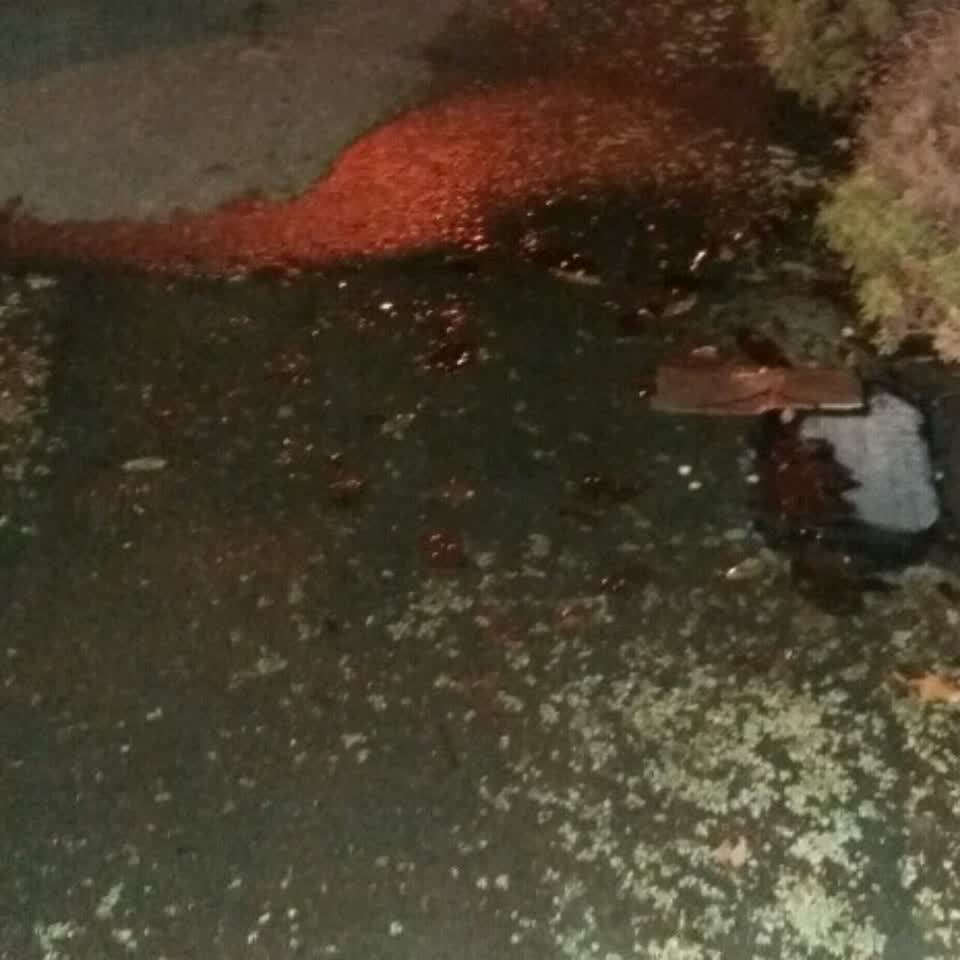 The photograph attached to this water supply report