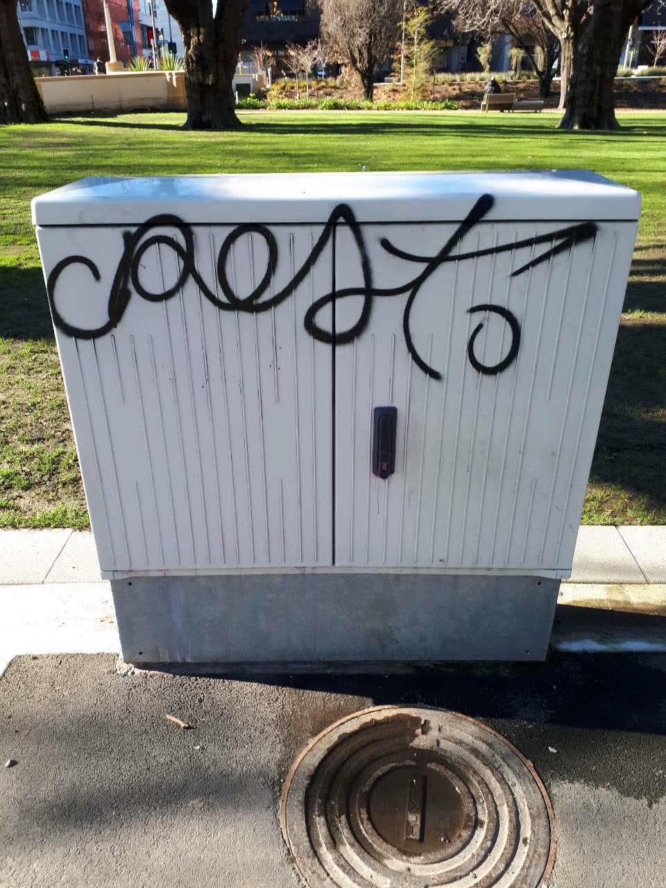 The photograph attached to this graffiti report