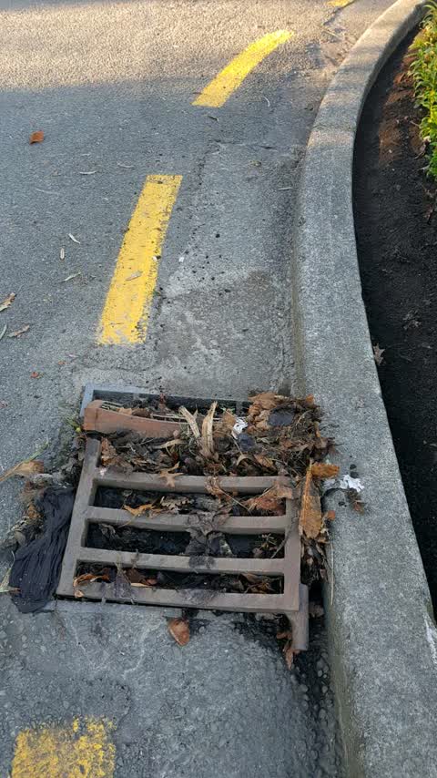 Wastewater/Stormwater, a report photo