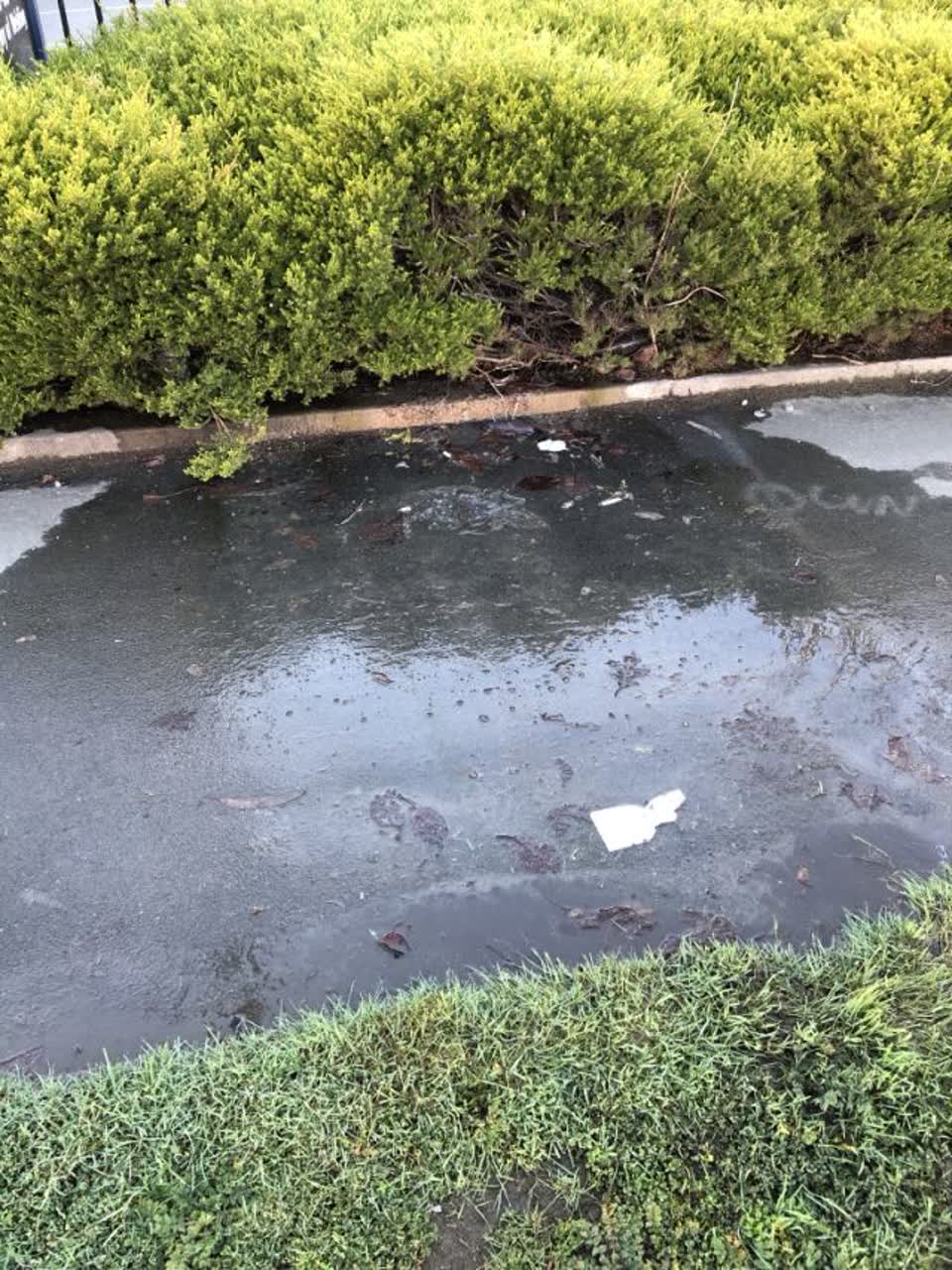 The photograph attached to this water supply report