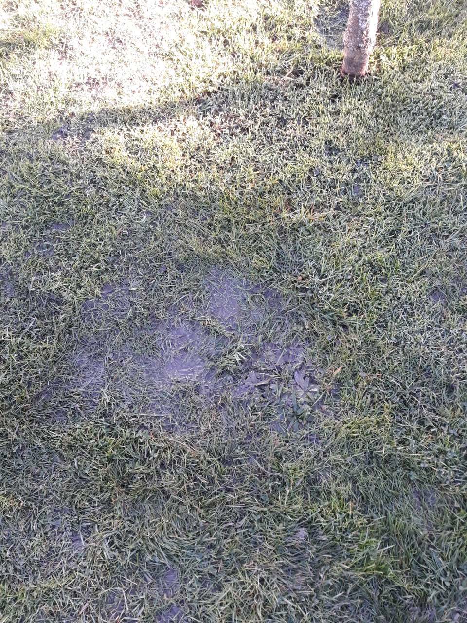 The photograph attached to this water supply report