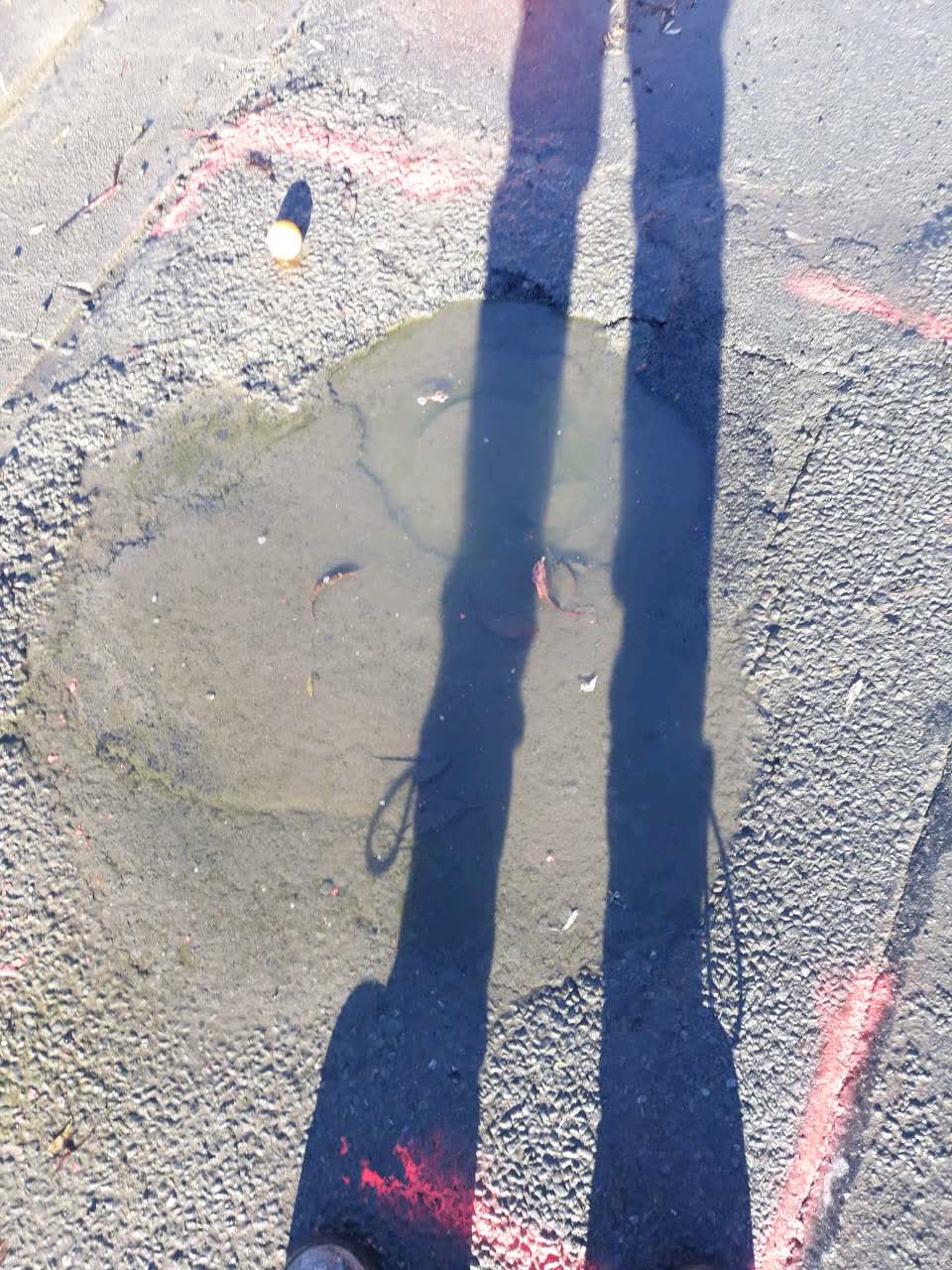 The photograph attached to this water supply report