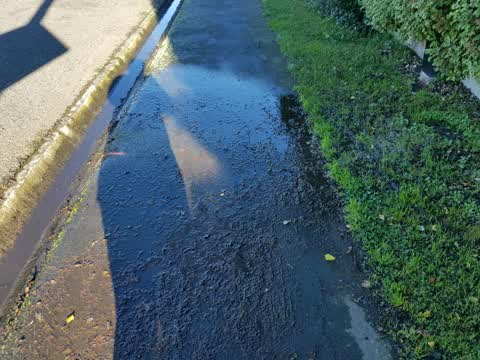 Water Supply, a report photo