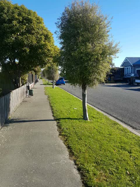 Roading/Streets, a report photo