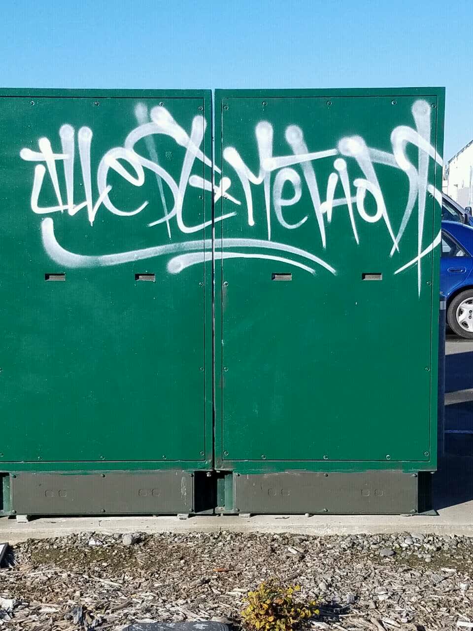 The photograph attached to this graffiti report