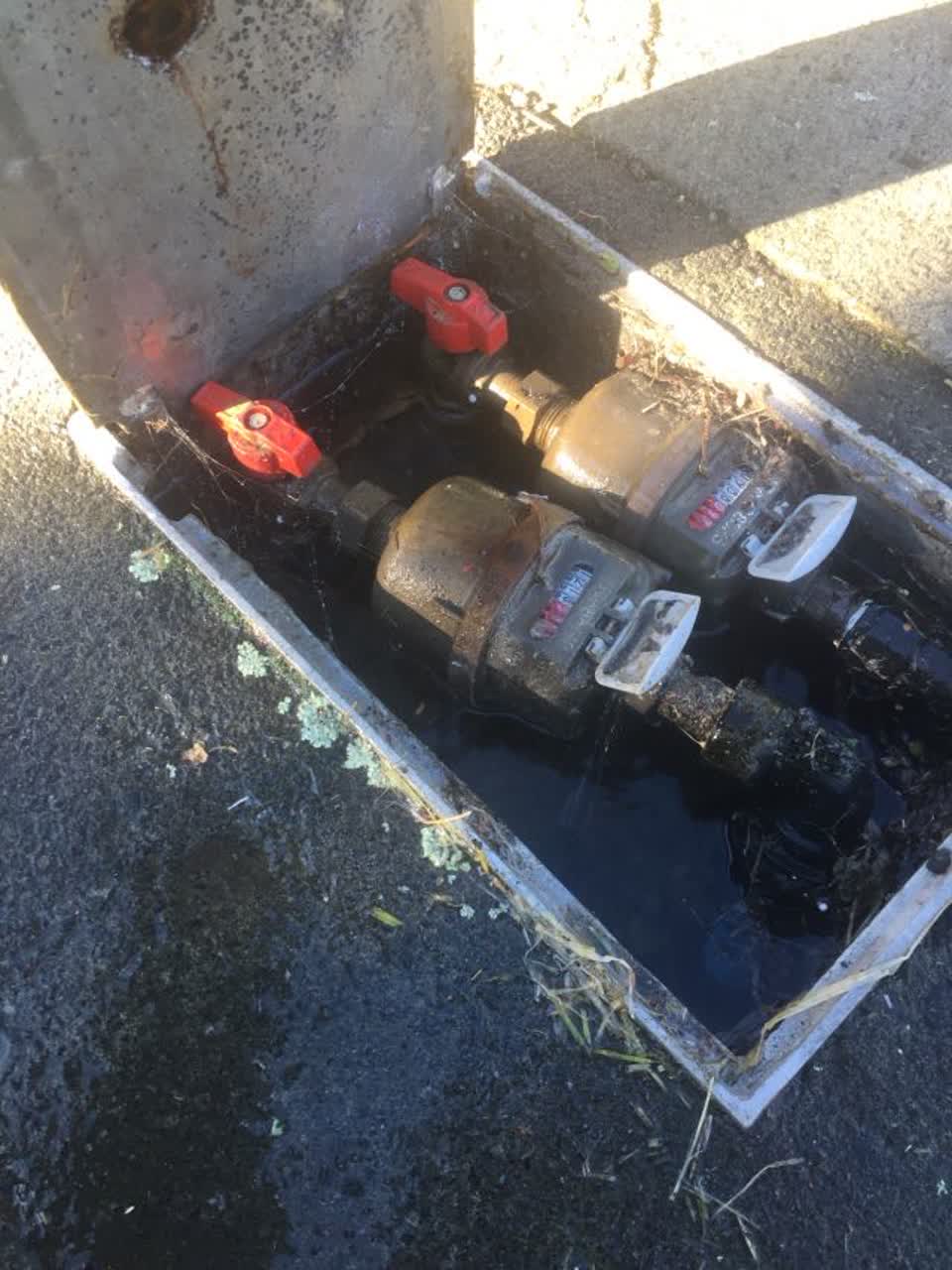 The photograph attached to this water supply report