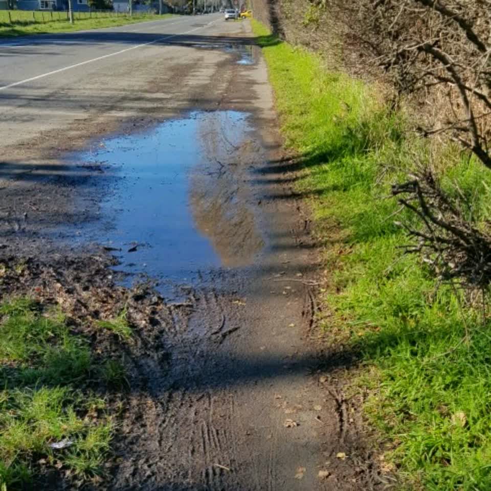 The photograph attached to this roading/streets report