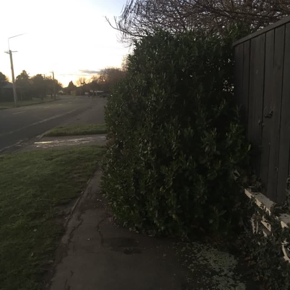 The photograph attached to this parks report