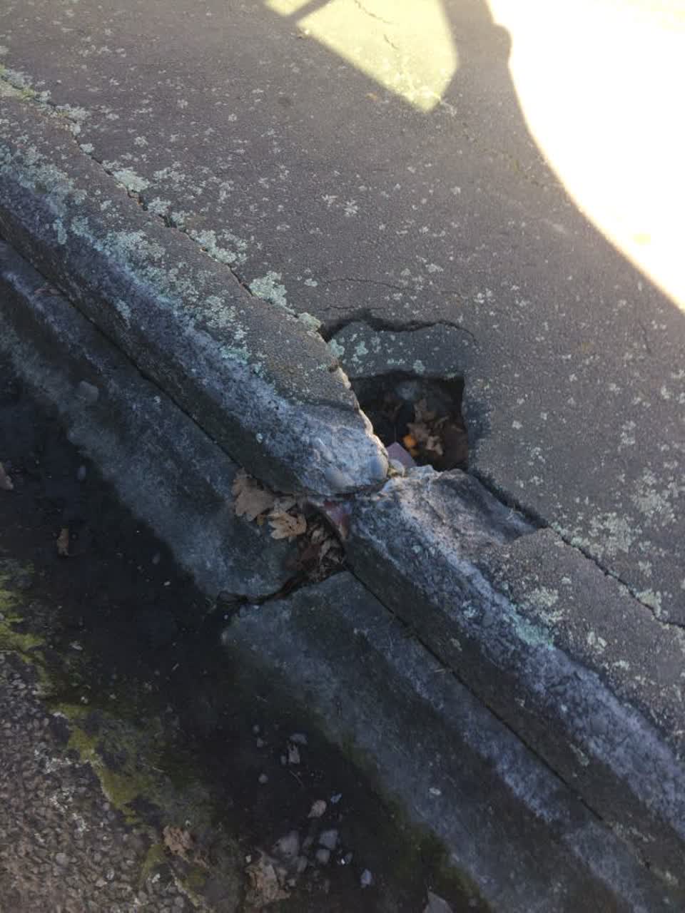 The photograph attached to this roading/streets report