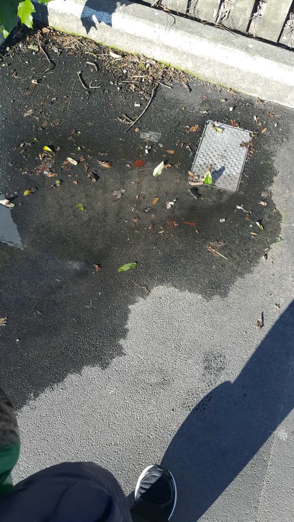 The photograph attached to this water supply report
