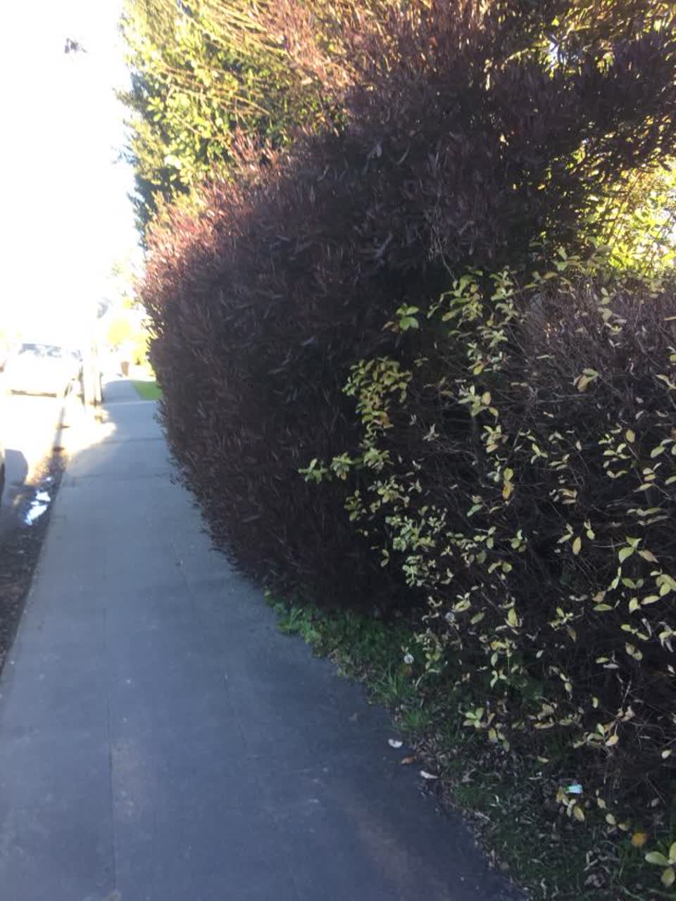 The photograph attached to this roading/streets report