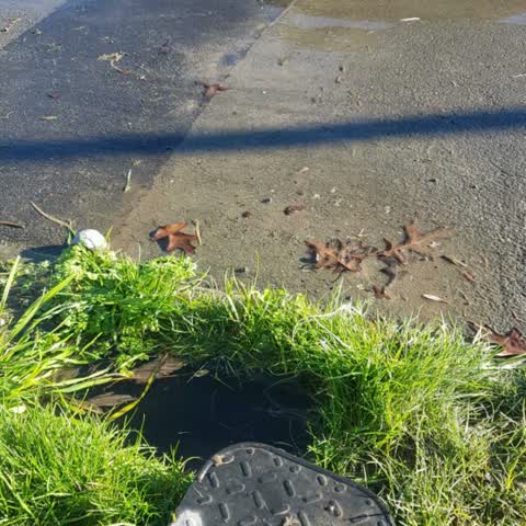 Flooding, a report photo