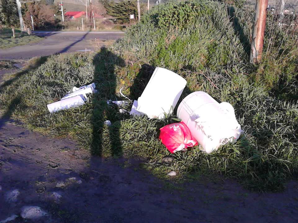The photograph attached to this rubbish/recycling report