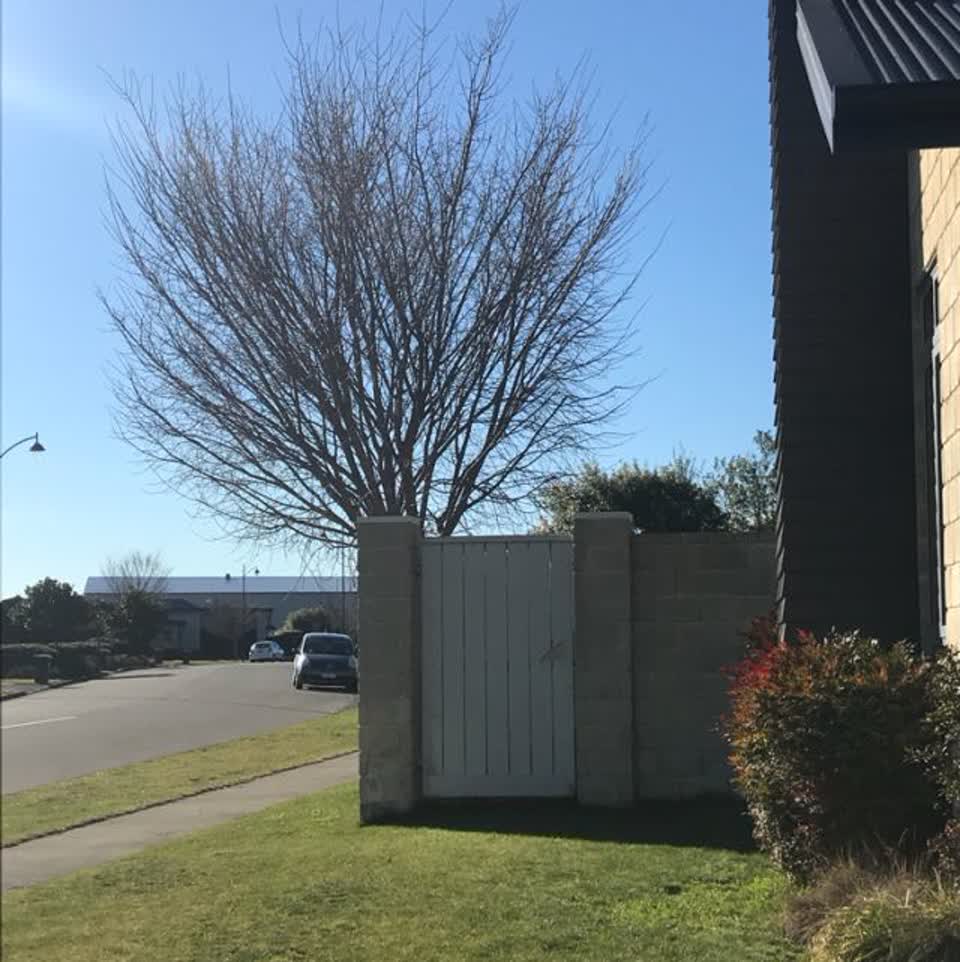 The photograph attached to this parks report