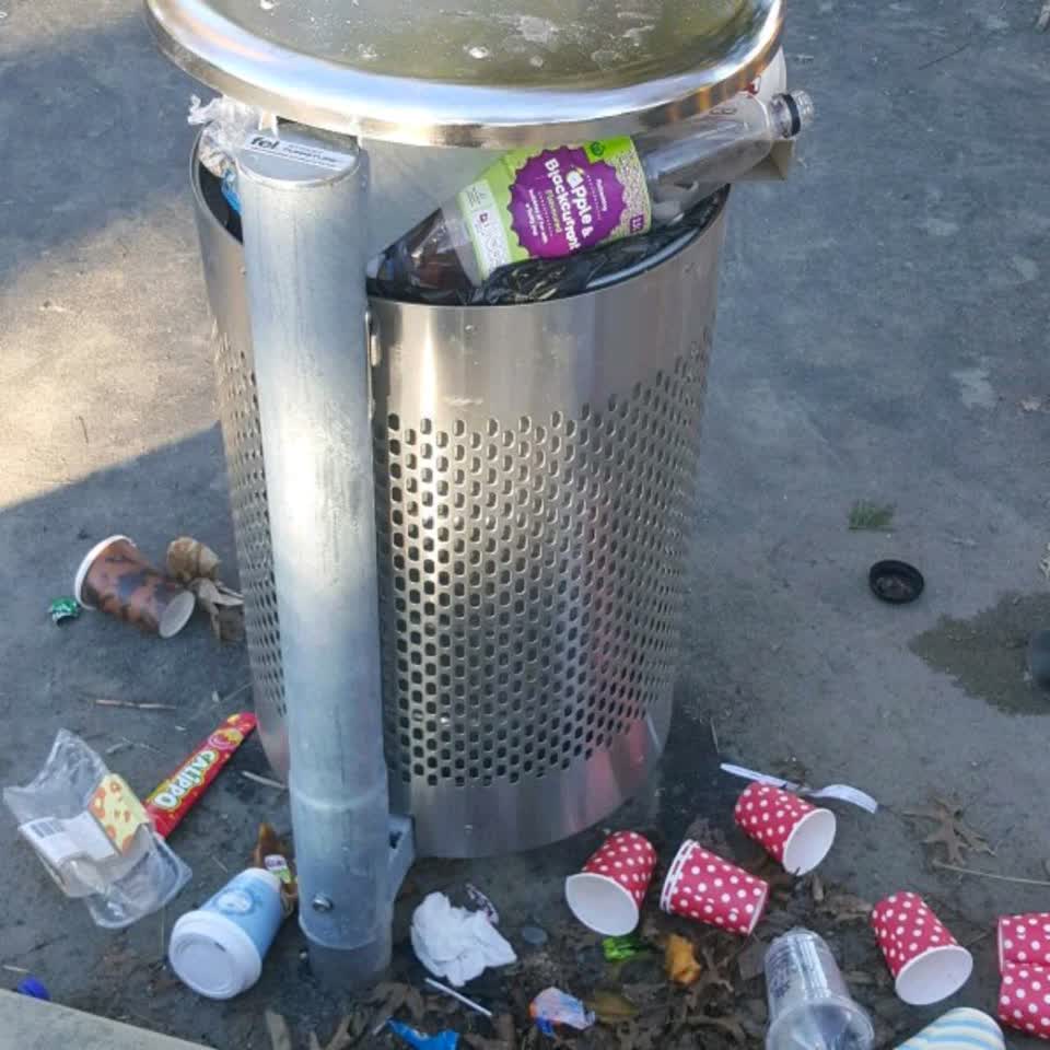 The photograph attached to this rubbish/recycling report