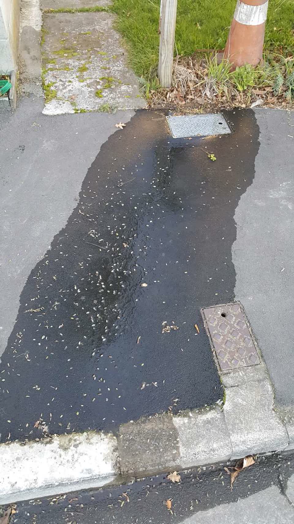 The photograph attached to this wastewater/stormwater report