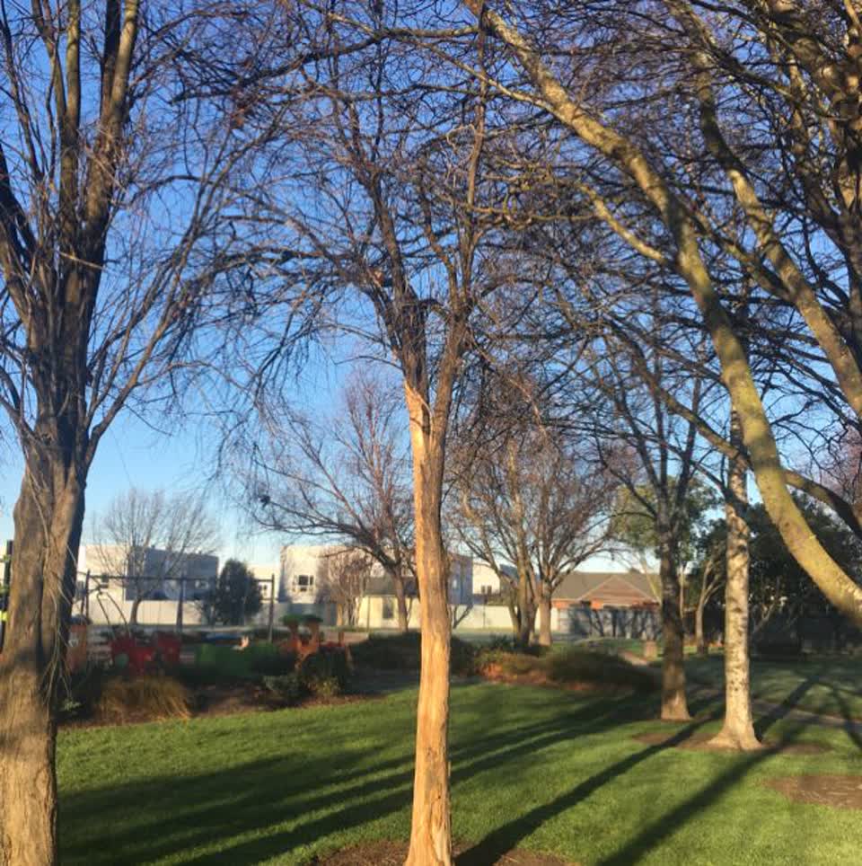 The photograph attached to this parks report