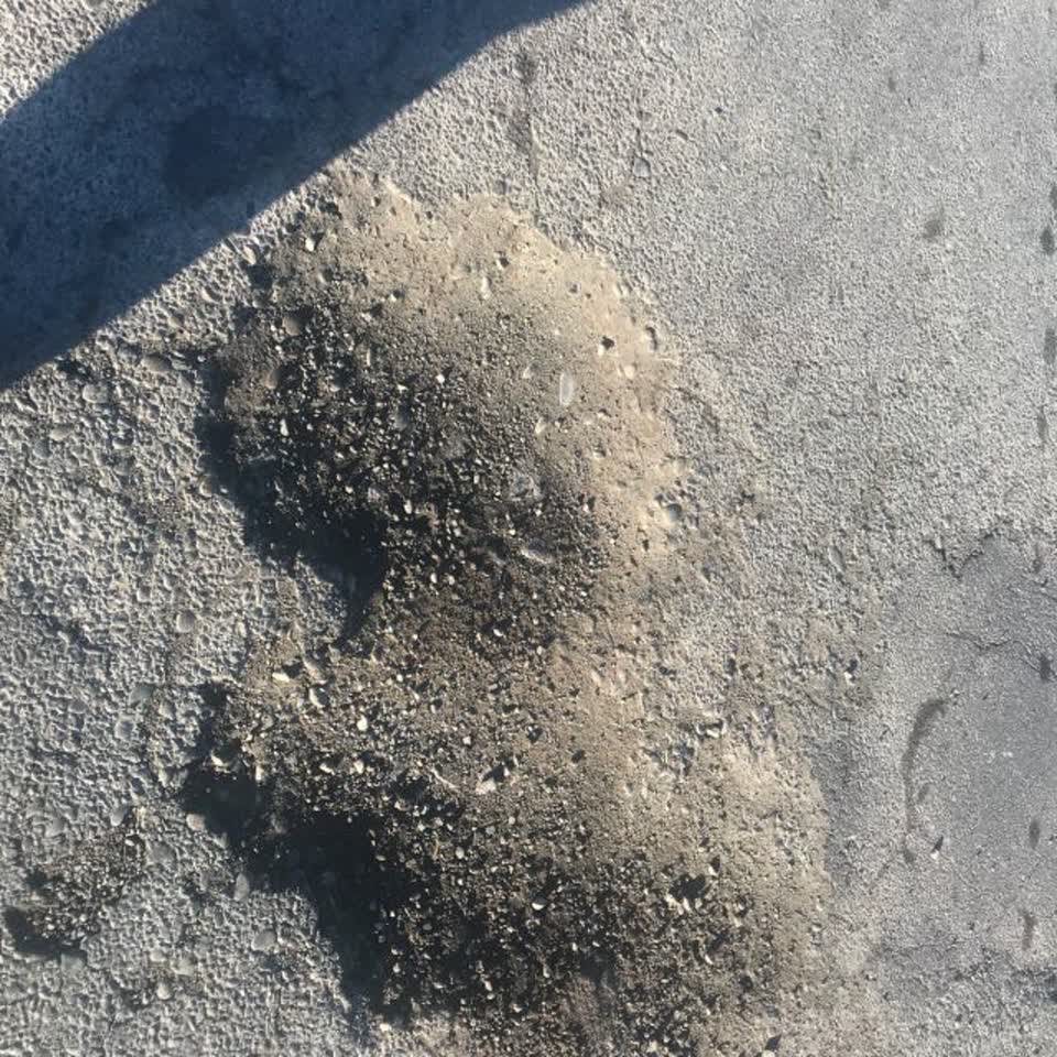 The photograph attached to this roading/streets report
