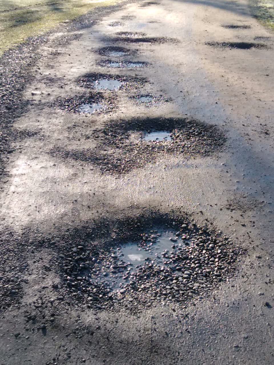 The photograph attached to this parks report