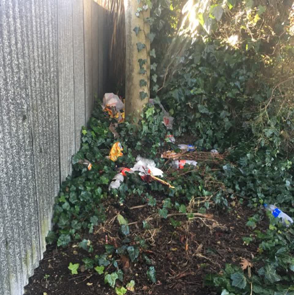 The photograph attached to this parks report