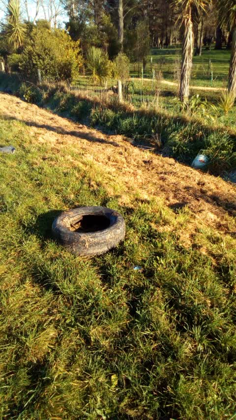 Rubbish/Recycling, a report photo