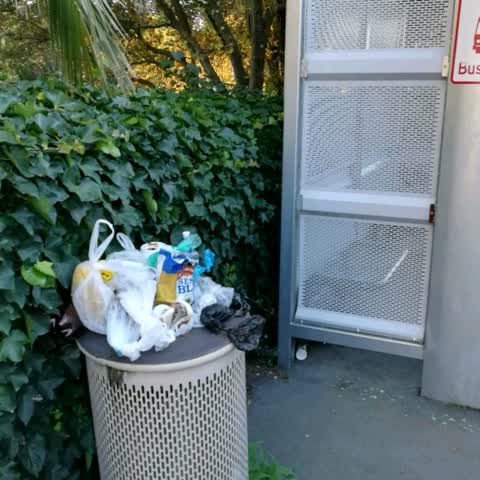 Rubbish/Recycling, a report photo