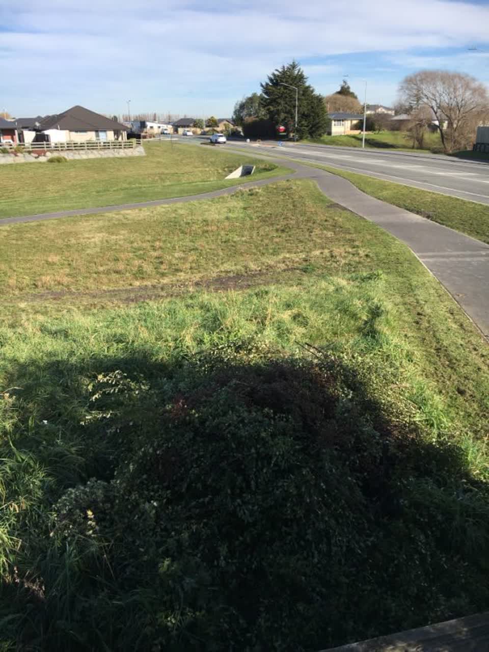 The photograph attached to this parks report