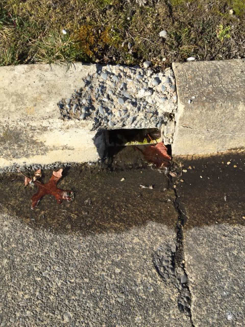 The photograph attached to this roading/streets report