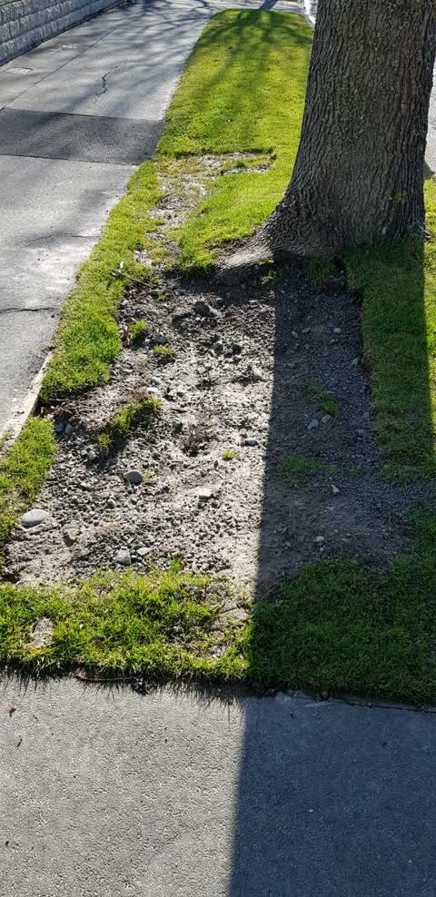 Roading/Streets, a report photo