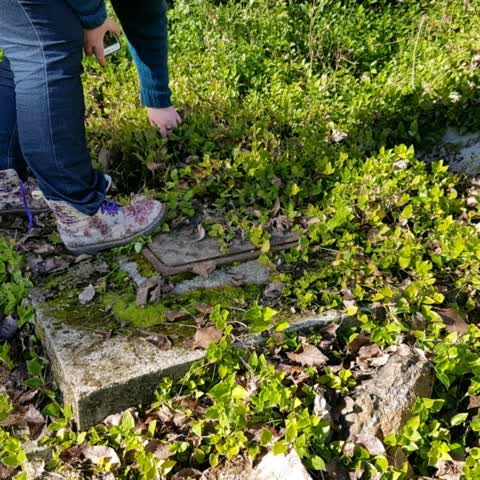 Wastewater/Stormwater, a report photo