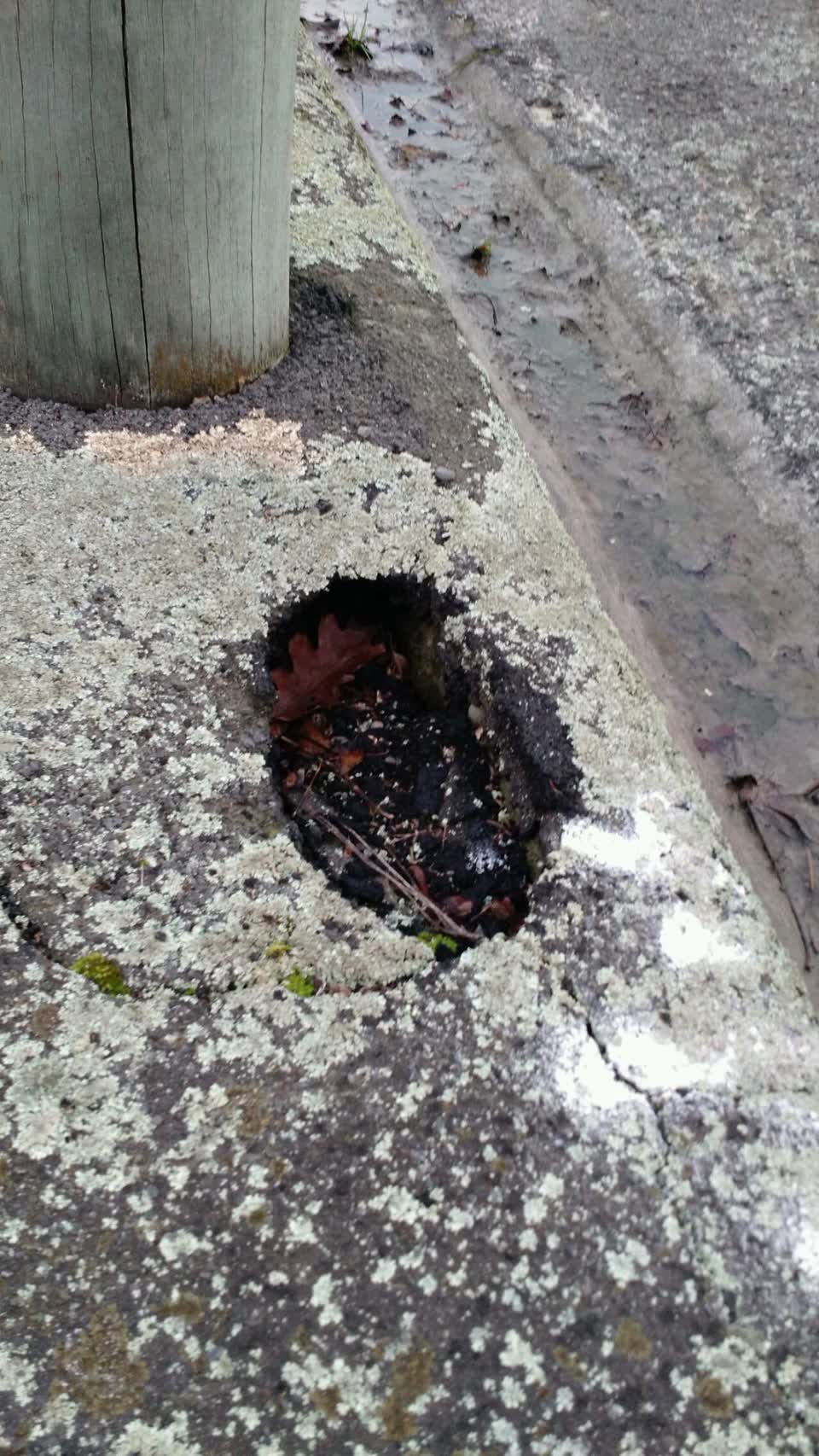 The photograph attached to this roading/streets report